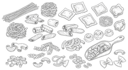 An assortment of various pasta shapes and types, including spaghetti, ravioli, penne, farfalle, and others, displayed in a detailed line drawing.