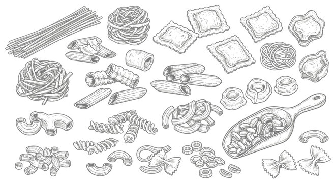 An assortment of various pasta shapes and types, including spaghetti, ravioli, penne, farfalle, and others, displayed in a detailed line drawing.