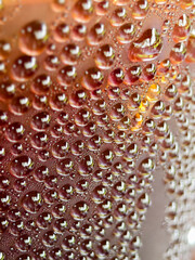 Dewdrop Detail: A captivating macro shot reveals an exquisite pattern of dew drops, each reflecting the light and colors of its surroundings, evoking a sense of purity and freshness.