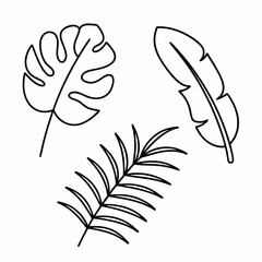 Minimalist Black Line Art Tropical Leaves Vector Icon Set Monstera, Palm, Banana, and Fern Bundle