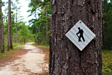 A white trail marker hangs on a tree as a hiking path continues winding through the woods.