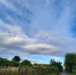 Obraz premium Scenic view of a dramatic sky with fluffy white and gray clouds above a narrow strip of trees.