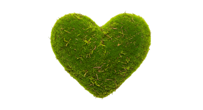green grass heart
