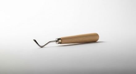A single wood carving tool with a curved metal tip and a wooden handle, isolated on a white background