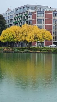  Scenic Reflection of Historic Buildings on a Tranquil Waterway at Le quai du Wault ( Le quai du Wault ) one of the two old ports of Lille, France