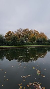 Historic Pont Napoleon bridge crossing the Moyenne - De&ucirc;le river with autumn trees in Lille, France