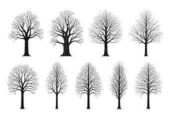 Fototapeta premium Eerie bare tree silhouettes on white offer stunning artistic autumn winter and seasonal design elements