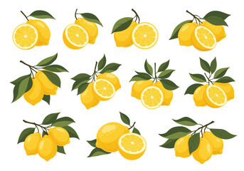 Fresh lemons on branches offer summer zest for healthy lifestyle or culinary designs and vibrant food themes