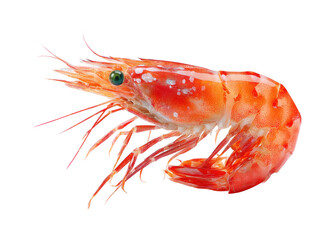 Fresh shrimp seafood delicacy kitchen food PNG, isolated on transparent background