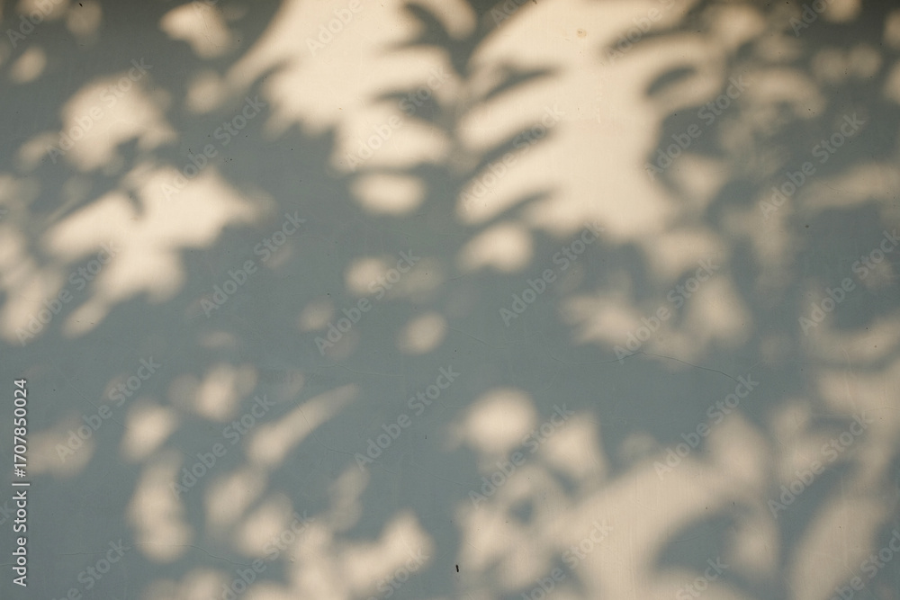 Poster background texture of shadow of twigs and leaves on the wall.abstract pattern for graphic design and
