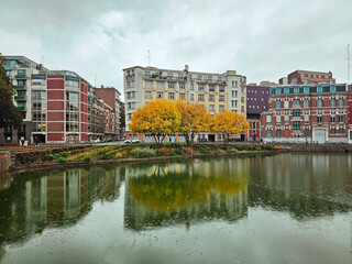 Autumn Trees by Water at Le quai du Wault ( Le quai du Wault ) in Lille, France