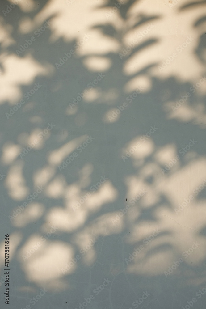 Aufkleber vertical background texture of shadow of twigs and leaves on the wall. abstract pattern for graphic 