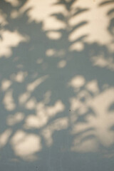 Vertical background texture of shadow of twigs and leaves on the wall. Abstract pattern for graphic design and banners