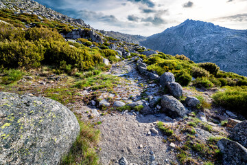 Camino del Puerto del Arenal