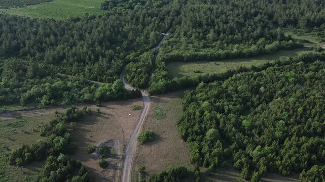 Drone Video Flight Over Forest Trail.