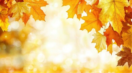 Fototapeta premium Autumn background featuring vibrant maple leaves and a decorative banner with orange foliage