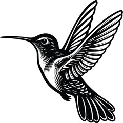 Stylish hummingbird artwork in bold black design, symbolizing grace, beauty, and freedom. Perfect for nature lovers, collectors, and artistic home décor.