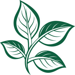 Simple and elegant green leaf illustration symbolizing nature, eco-friendliness, and growth. Perfect for organic products, natural brands, posters, stickers, and lifestyle designs.