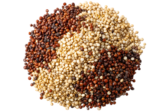 Quinoa varieties in yin yang symbol healthy food superfood grains nutrition