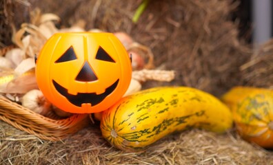 Bright orange Halloween pumpkin basket on straw surrounded by various squash. The festive arrangement captures the spirit of autumn harvest and Halloween celebrations.