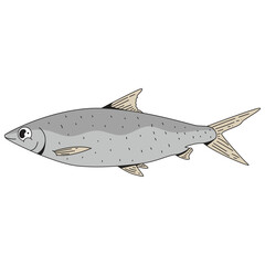 Milkfish animal underwater cartoon icon illustration