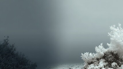 Tranquil Underwater Scene with Soft Hues and Subtle Textures Captured in a Serene Environment Ideal for Artistic and Nature-Inspired Projects