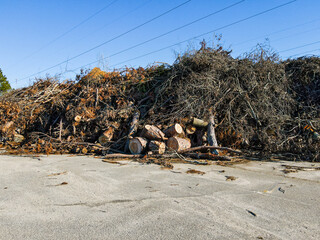 Aerial landscape pile of destroyed tree debris after Hurricane Helene Thomson Augusta Georgia