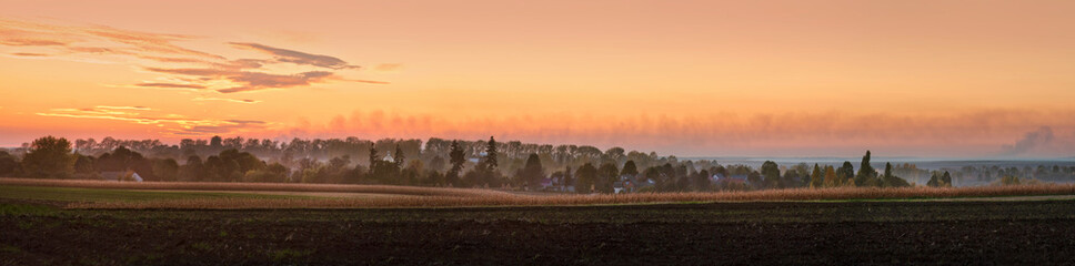 Panorama of a field with silhouettes of trees, buildings in the distance on the horizon, at sunset
