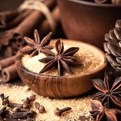Christmas spices. Seasonal winter spices close up.