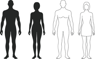 Human Body Silhouettes and Line Art – Male and Female Figures in Front View, Vector Illustration for Medical, Fitness, Anatomy, Health, Education, and Design Projects