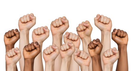 Diverse Hands in Fists Unity and Protest detailed illustration featuring social, inclusion, arms, fight, political, hands design
