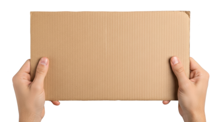 Hands Holding Blank Cardboard Sign detailed illustration featuring signboard, craft material, noticeboard, hands, protest