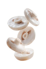 Fototapeta premium Fresh oyster mushrooms floating in mid-air isolated on transparent background