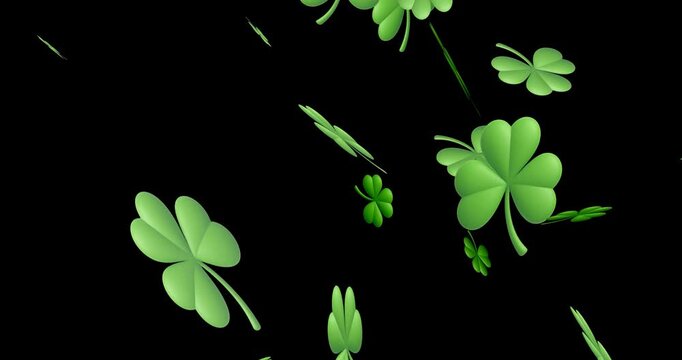 3D animation of green clover leaves gently falling on a black background. Perfect for commercial use, branding, seasonal campaigns, St. Patrick&rsquo;s Day themes, and elegant digital presentations