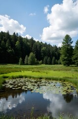 Obraz premium lake in the park