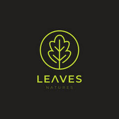 Leaves modern minimalist logo design vector