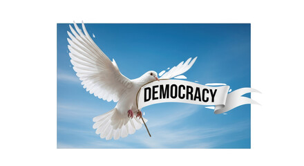 Obraz premium White Dove Flying with Democracy Banner in Blue Sky detailed illustration featuring flight, representation, world, vote, law,