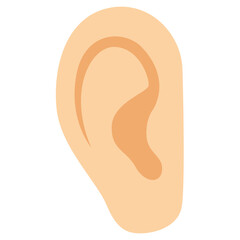 Human ear with visible outer shape, auditory organ illustration ideal for anatomy or hearing education.