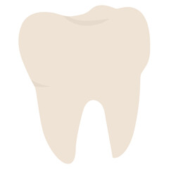 White human tooth with crown and root, dental structure illustration ideal for health or education themes.

