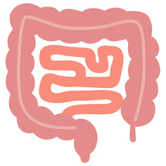 Human intestines with coiled structure, anatomical illustration perfect for medical or biology education.

