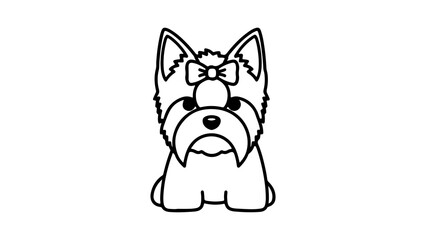 Yorkshire terrier puppy with transparent background