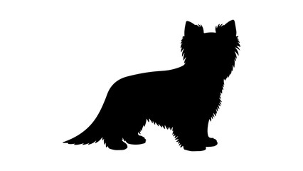 Yorkshire terrier silhouette with transparent background