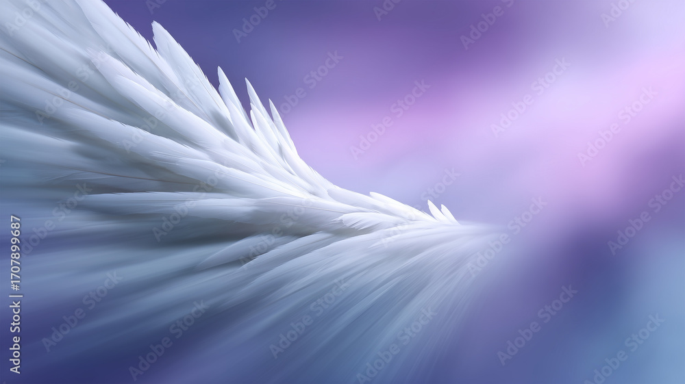Poster swirling feathers create a dreamlike background with soft colors
