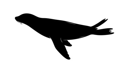 Seal silhouette with transparent background