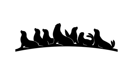 Seals basking on rocks with transparent background