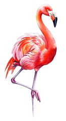 A detailed watercolor art piece featuring a striking pink flamingo, captured mid-stride on a single leg, showcasing its elegant form.