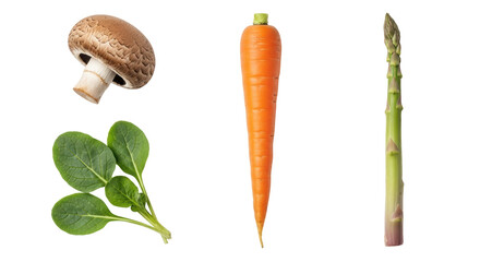 Isolated close up of fresh vegetables carrot asparagus mushroom and spinach ingredients