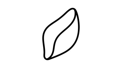 Single leaf outline with transparent background