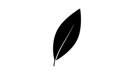 Single leaf with transparent background