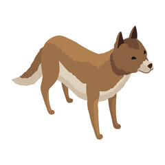 Farm animal isometric. Domestic animal in 3d flat back and front view. Cute game character of dog. Vector icon